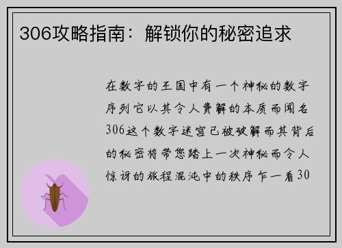 306攻略指南：解锁你的秘密追求