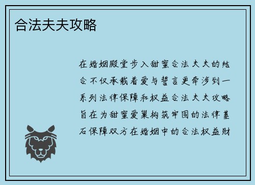 合法夫夫攻略