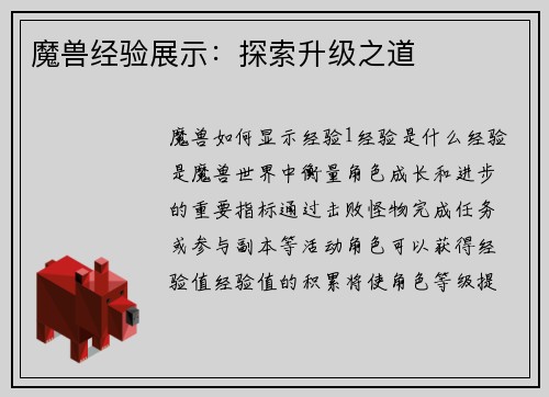 魔兽经验展示：探索升级之道